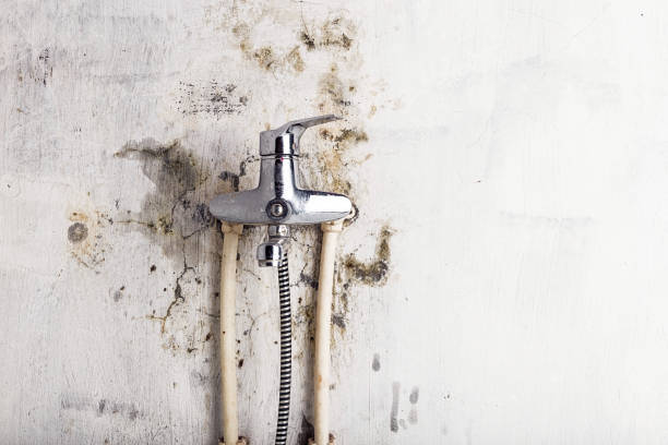 Home Mold Removal in Southside Place, TX