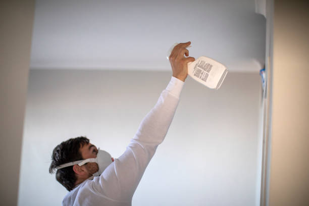 Best Water Damage Restoration  in Southside Place, TX